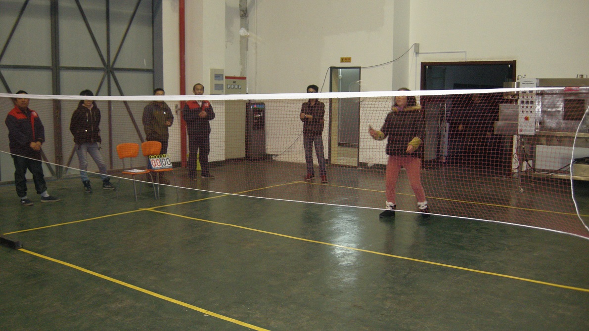 羽毛球比賽 羽毛球比賽